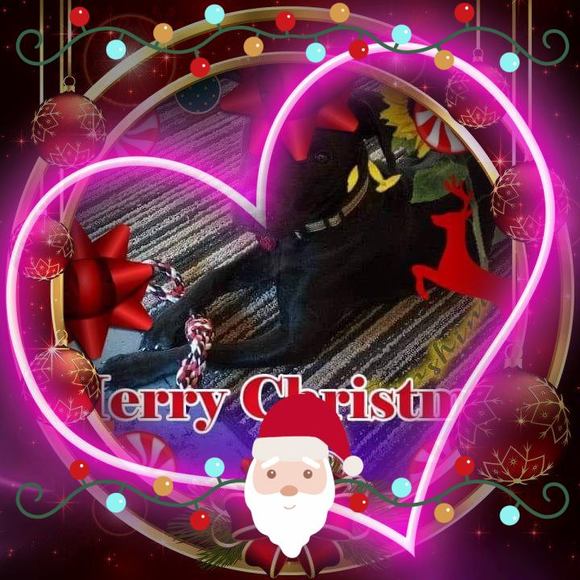 Profile Picture of Dedra Swygert (@dedraswygert97) on Poshmark