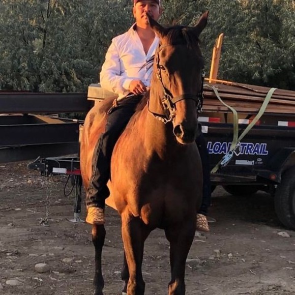 Profile Picture of Jose noel Mancinas (@josemancinas75) on Poshmark