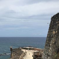 Profile Picture of Lilliam Ayala (@lilliam_ayalal2) on Pinterest