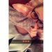 Profile Picture of Tabea-Lucy (@schorscher) on Pinterest