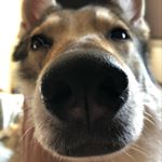 Profile Picture of Thomas Lupo (@thlu73) on Instagram