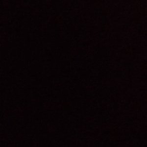 Profile Picture of Paula Manning (@paulamanning31) on Twitter