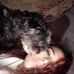 Profile Picture of Briana Barnes (@briana.barnes.148) on Facebook
