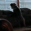 Profile Picture of Nichole duncan (@@nicholeduncan2) on Tiktok