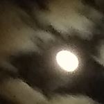 Profile Picture of Scott mchargue (@scottfchargue) on Instagram