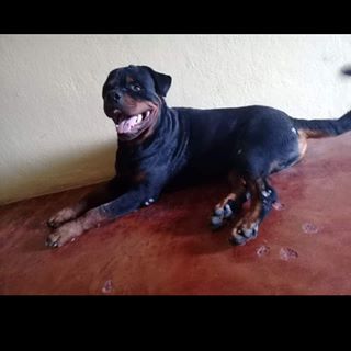 Profile Picture of Gilberto Francisco (@gilberto.francisco.501598) on Facebook