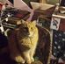 Profile Picture of Dave Marszalek (@dave.marszalek.3) on Facebook