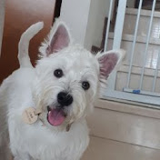 Profile Picture of Andrew Wand (@andrewwand9218) on Youtube