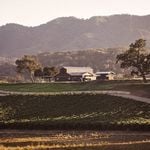 Profile Picture of Cameron Ingalls (@oysterridge) on Instagram