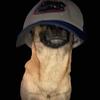 Profile Picture of Aaron Snodgrass (@@aaronsnodgrass0) on Tiktok