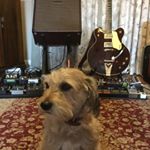 Profile Picture of Greg Windred (@greg.wins) on Instagram