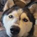 Profile Picture of Jonathan Caldera (@jonathan.caldera.902) on Facebook