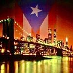 Profile Picture of Justin Malave (@malavejr) on Instagram