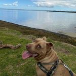Profile Picture of Devoe Joseph (@devoe.joseph) on Instagram