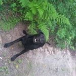 Profile Picture of Roger Parsons (@parsons240) on Instagram