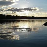 Monica Barry Gallant - Instagram Profile Picture of Monica Barry Gallant (@mocbarry) on Instagram