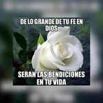 Profile Picture of Arturo Leonel Roddriguez Ch (@roddriguezch) on Instagram
