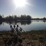 Profile Picture of Thomas Pichlmaier (@nature_carper) on Instagram