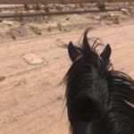 Profile Picture of Isaac Portillo (@botasucias44) on Instagram