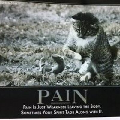 Profile Picture of David Bornhorst (@bornhorstd) on Twitter