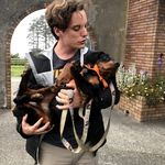 Profile Picture of Dustin Gieselmann (@dustingieselmann) on Instagram