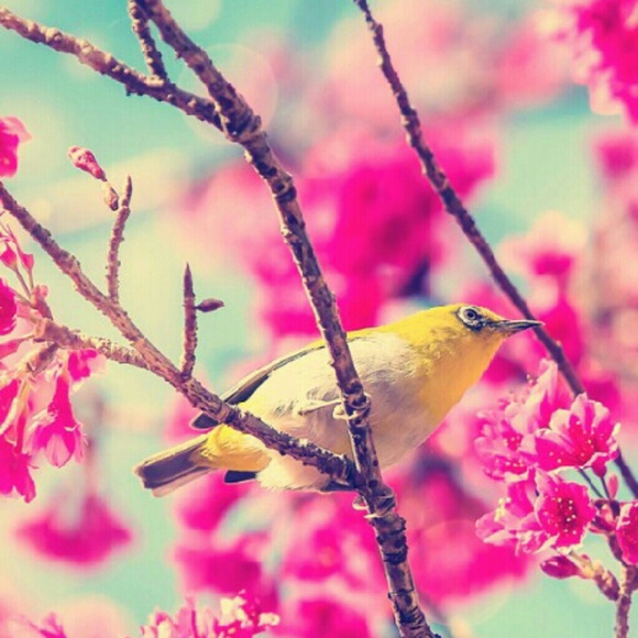 Ylonka Rivera - Poshmark Profile Picture of Ylonka Rivera (@ylonka25) on Poshmark