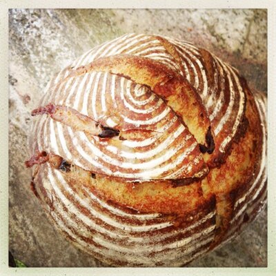 Profile Picture of Michael.Flewelling (@Mtflewelling) on Twitter