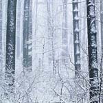 Profile Picture of benvereenenda98326 (@benvereenenda98326) on Instagram