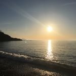 Profile Picture of Andy Simpson (@rufuschild) on Instagram