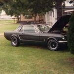 Profile Picture of Kerry Schmidt (@kerry.schmidt.14) on Instagram