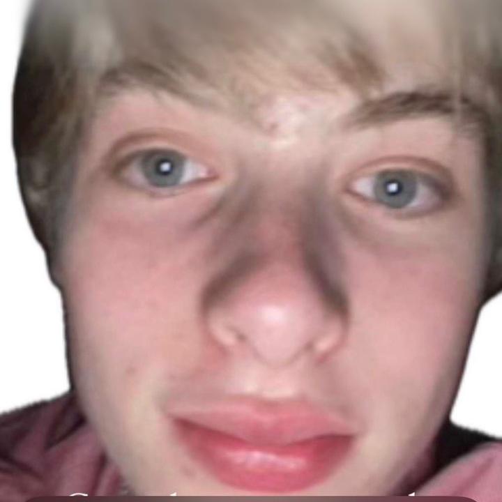 Profile Picture of ellis (@ellis.bekman) on Tiktok