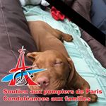 Profile Picture of Patrick Gärtner (@paddygaert) on Instagram