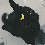 Profile Picture of Vianey Ramirez (@vianeyramirez) on Flickr