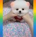 Profile Picture of Yasu Yasu (@Yasu-Yasu) on Facebook