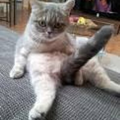 Profile Picture of Craig Ferdinand (@CraigBikes123) on Twitter