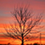 Profile Picture of Exhall Green (@exhall green) on Flickr