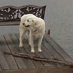 Profile Picture of John Beals (@john_beals) on Instagram