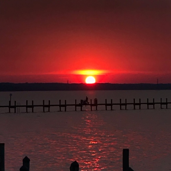 Profile Picture of Delayne Wood (@delaynewood) on Poshmark