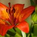 Profile Picture of Norma Horn (@norma.horn.3958) on Facebook