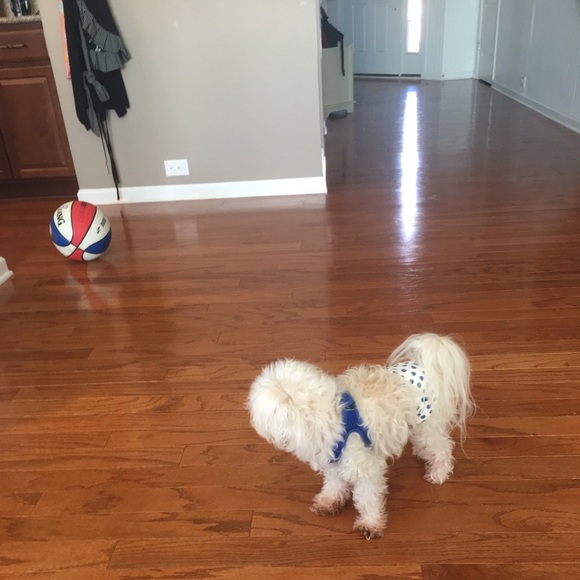 Profile Picture of Frances Summerall (@fls808548) on Poshmark