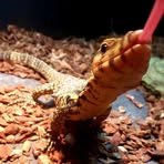 Profile Picture of Jeremy Buford (@jeremy.buford.2025) on Facebook