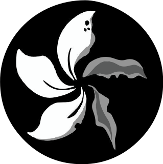 Profile Picture of Timeline of the 2019–20 Hong Kong protests (August 2019)on Wikipedia
