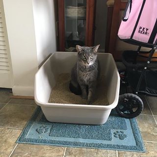 Profile Picture of Marlene Snider (@marlene.snider.52) on Facebook