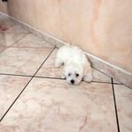 Profile Picture of Giuseppe Febbraro (@giuseppe.febbraro.560) on Instagram