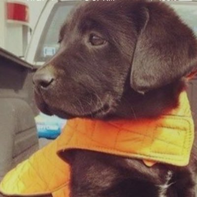 Profile Picture of Jim Criswell (@jim_criswell19) on Twitter