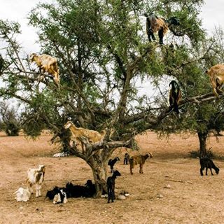 Profile Picture of James Nigrelli Jr. (@James-Nigrelli-Jr) on Facebook