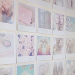 ~alicia💓💐 - Instagram Profile Picture of ~alicia💓💐 (@_floral.dreaming_) on Instagram