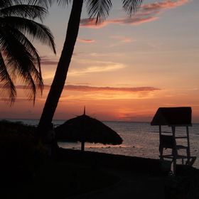 Profile Picture of Lori Allen (@lorimich33) on Pinterest