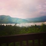 Profile Picture of Austin Muller (@bucmuller5) on Instagram