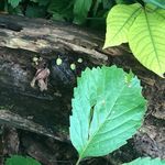 Profile Picture of Michael (@michaelmilio) on Instagram